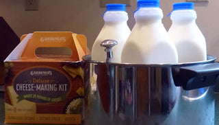 Make Goat Cheese at Home