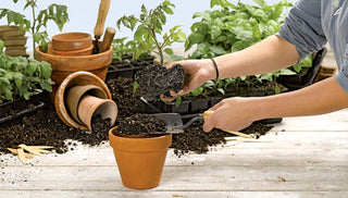 Super-Powered Soils