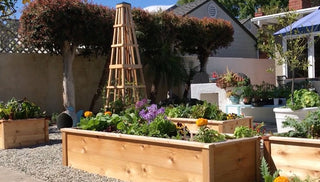 Backyard Makeover: From Lawn to Bountiful Kitchen Garden
