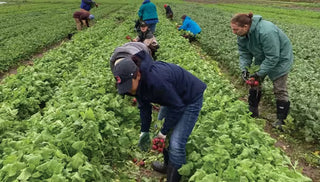 You Can Make a Difference in Your Backyard and Community!