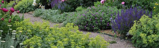 How Much Mulch Do I Need?