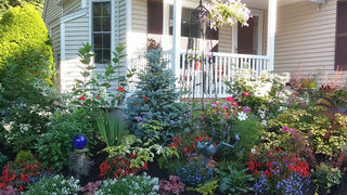 Small Gardens with BIG Attitudes