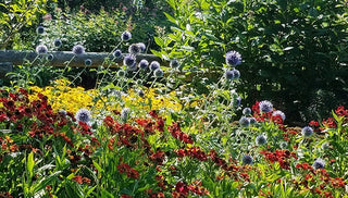 Garden Design Techniques that will Transform Your Landscape