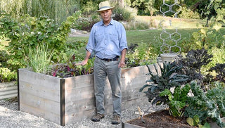 Raised Bed Buying Guide