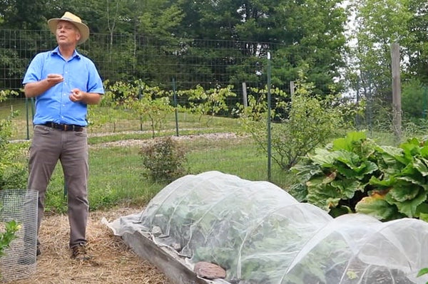 Animal Pest Control & Garden Protection Tips | Gardener’s Supply