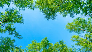 7 Ways Every Gardener Can Combat Climate Change