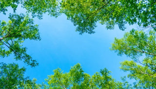 7 Ways Every Gardener Can Combat Climate Change