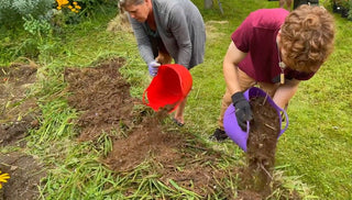 How to Create a No-Dig Garden