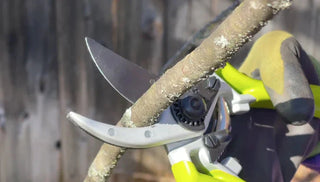 Pruning Tools Buying Guide