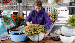 How to Keep Hanging Baskets Looking Fresh All Summer