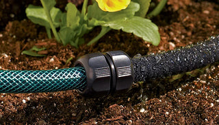 Don’t Just Water — Soak!