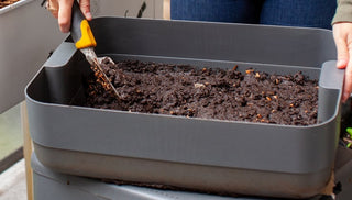 Revitalize Your Houseplants with Worm Castings