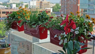 Railing Planters Hold Tight on High-Rise Balcony