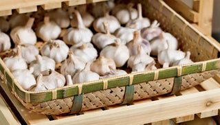 How to Store Garlic