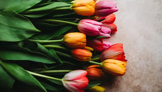 How To Harvest Tulips For Bouquets