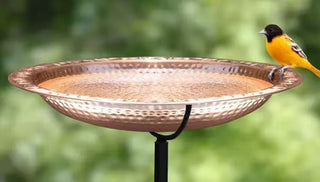 Water Features for Birds