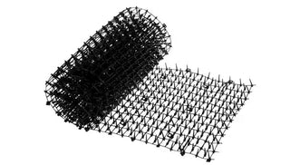 Roll Out the Unwelcome Mat for Squirrels