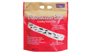 What on Earth is DE?