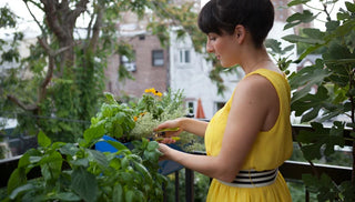 Yes, You Can Garden As A Renter