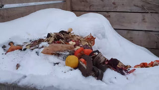 Cold Weather Composting