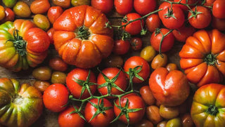 The Great Tomato Page