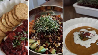 3 Creative Ways to Cook with Microgreens: Delicious Recipes to Try