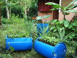 Water-Smart Gardening in Costa Rica