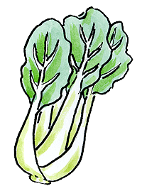 Bok Choy