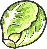 Brussels Sprouts