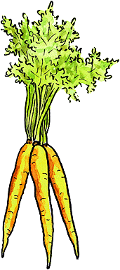 Carrots