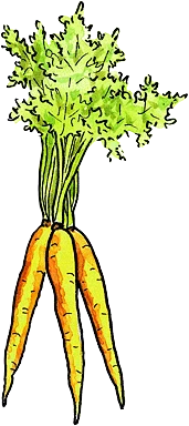 Carrots