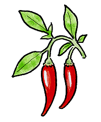 Peppers (hot)