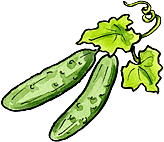How to Grow Cucumbers