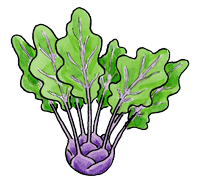 Kohlrabi