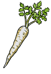 Parsnip