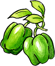 Peppers (sweet)