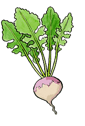 Rutabagas
