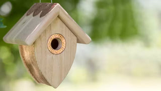 Choosing The Best Birdhouse