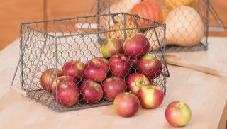 Planting and Growing Fruit Trees