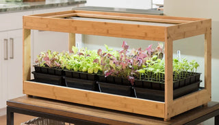 How to Grow Vegetables Indoors