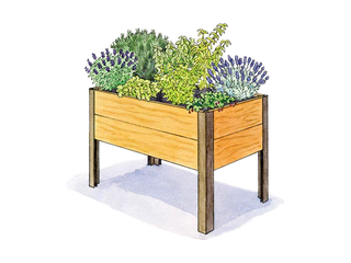 Cocktail Garden 2' x 4'