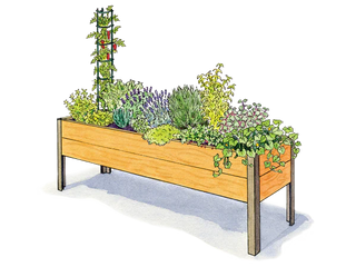Cocktail Garden 2' x 8'