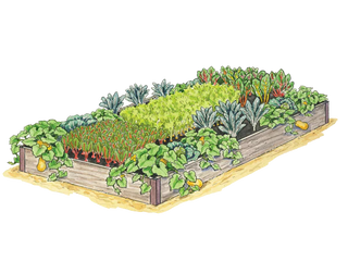 Giving Garden