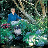 From Empty Lawn to Tropical Oasis