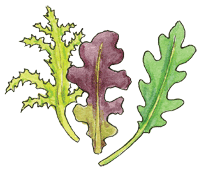 Mesclun