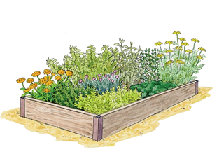 Kitchen Herb