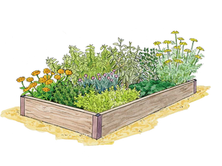 Kitchen Herb