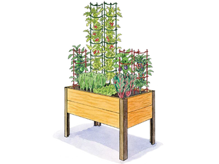 Mediterranean Garden 2' x 4'