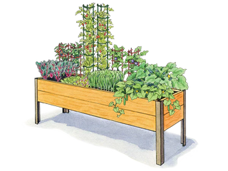 Mediterranean Garden 2' x 8'