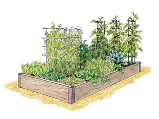 Salad Bar